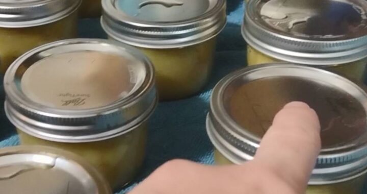 Canning 101 Part 2: Waterbath Canning - from Moon and Hare Studio