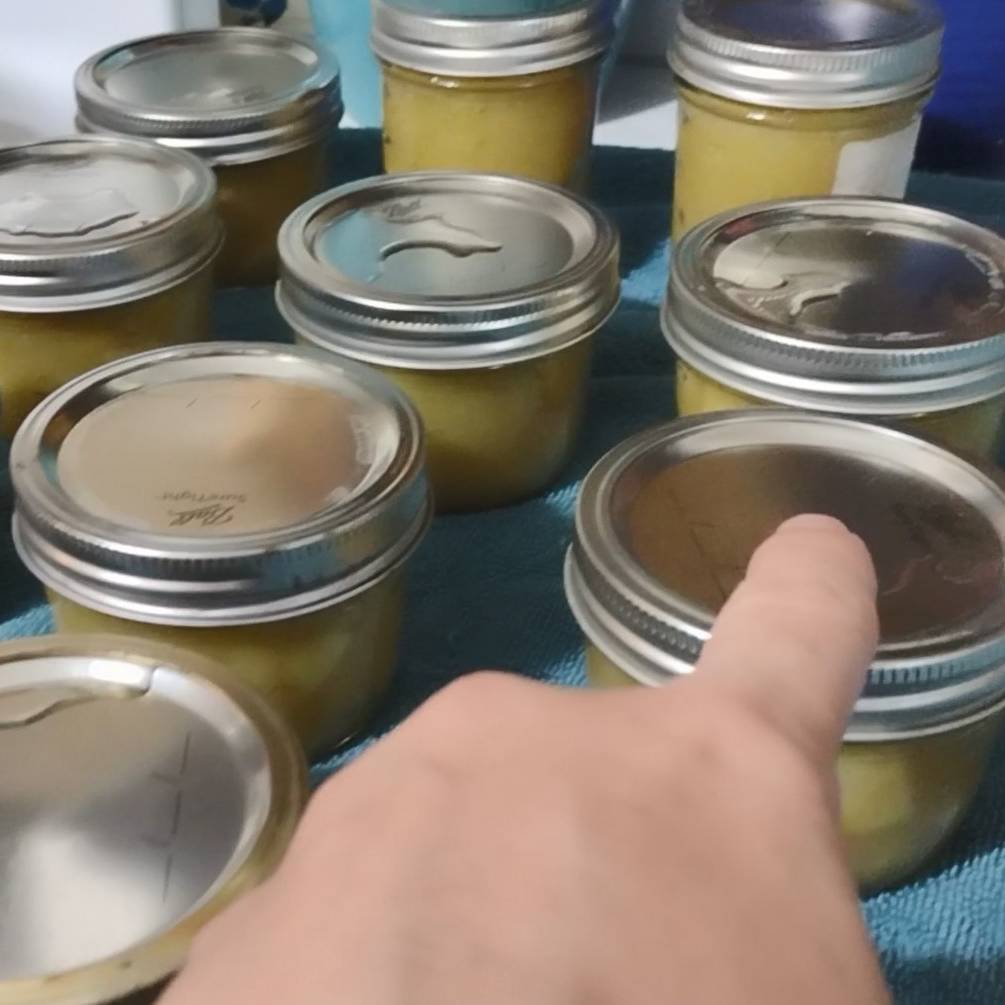 Canning 101 Part 2: Waterbath Canning - from Moon and Hare Studio