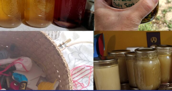 How to be a homesteader when you don’t have any land - Moon & Hare Studio
