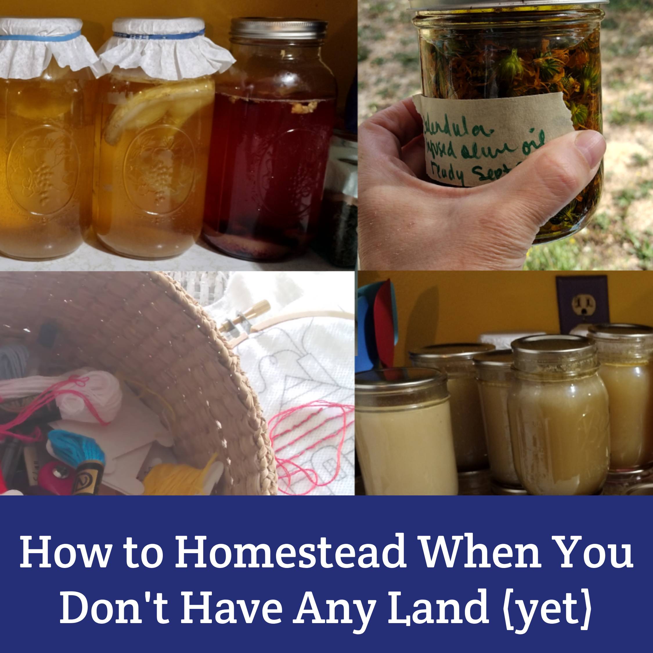 How to be a homesteader when you don’t have any land - Moon & Hare Studio
