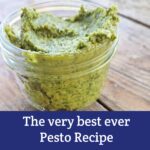 This really is the best Pesto Recipe ever! - Moon & Hare Studio