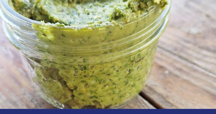 This really is the best Pesto Recipe ever! - Moon & Hare Studio