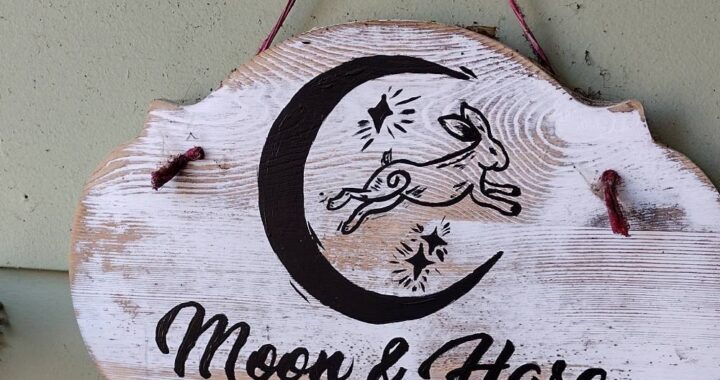 Urban Homestead Tour - Spring 2025 - Moon and Hare Studio