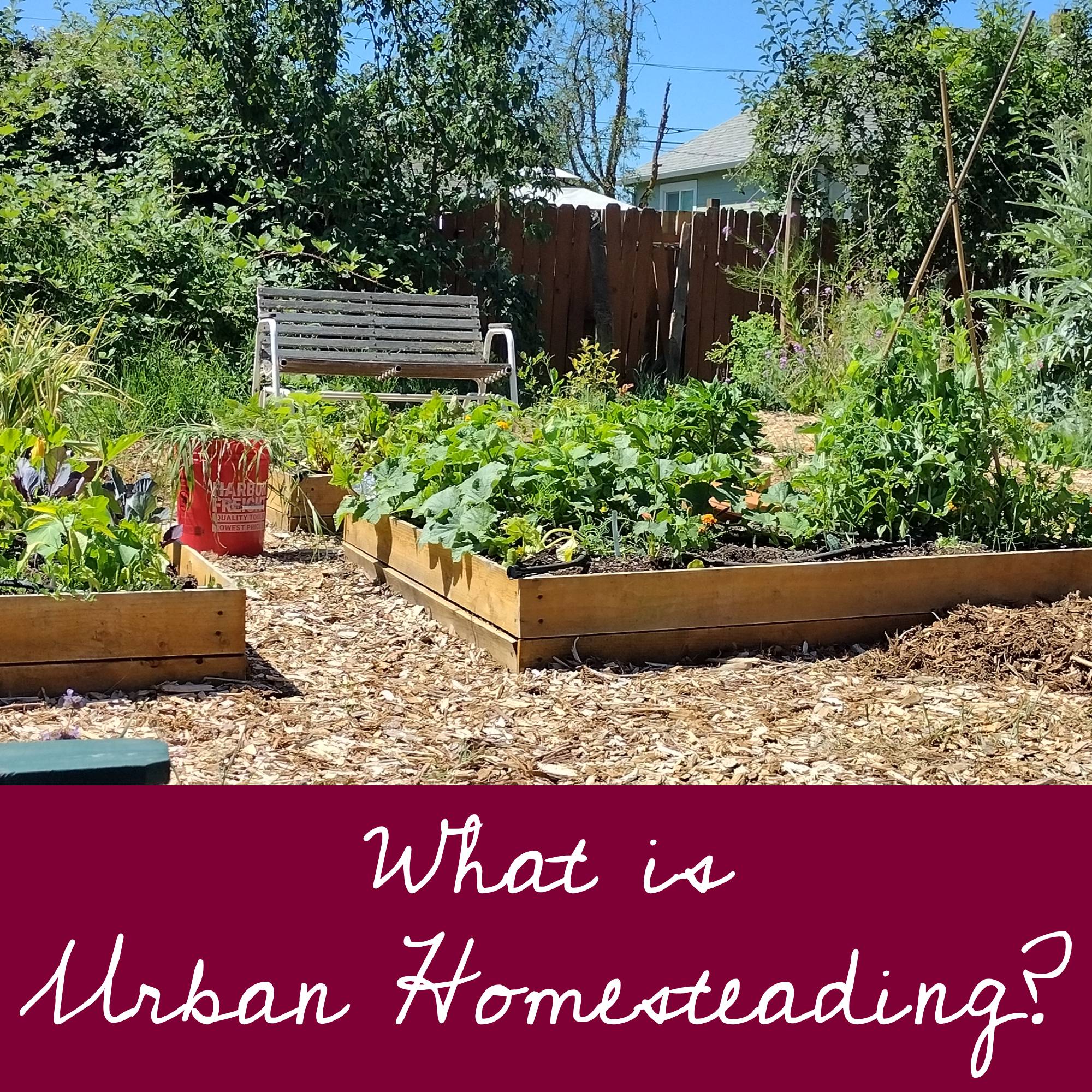 What is Urban Homesteading - from Moon & Hare Studio