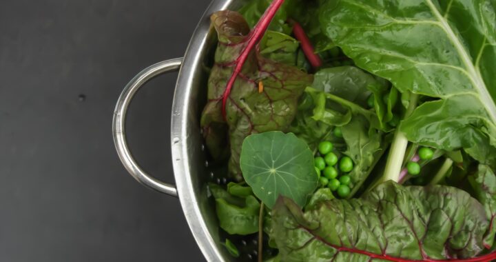 Kale Yeah! Easy Ways to Eat More Greens (Without Hating It) - Moon and Hare Studio