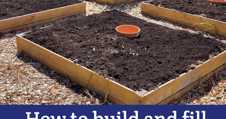 How to Build and Fill Free or Super Cheap Raised Beds - Moon & Hare Studio