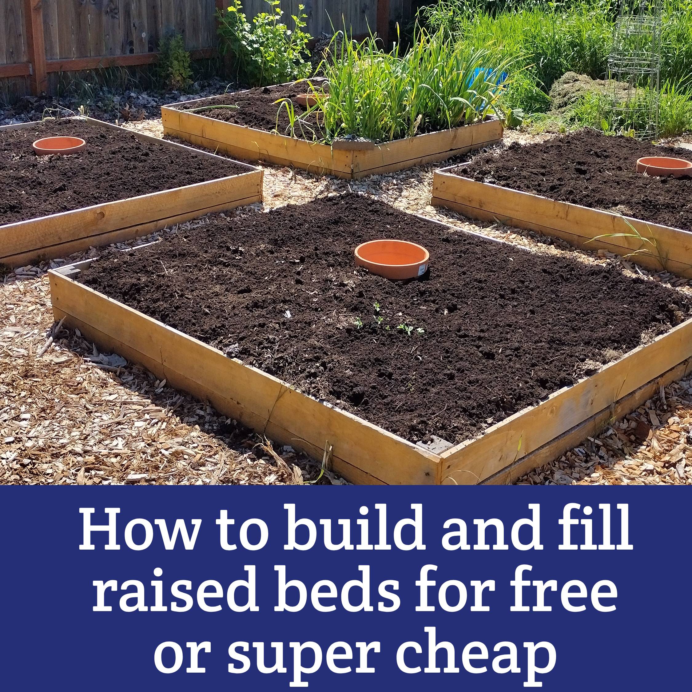 How to Build and Fill Free or Super Cheap Raised Beds - Moon & Hare Studio