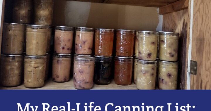 My Real-Life Preserving List: What I Can, What I Freeze, and What I Pass On - Moon & Hare Studio
