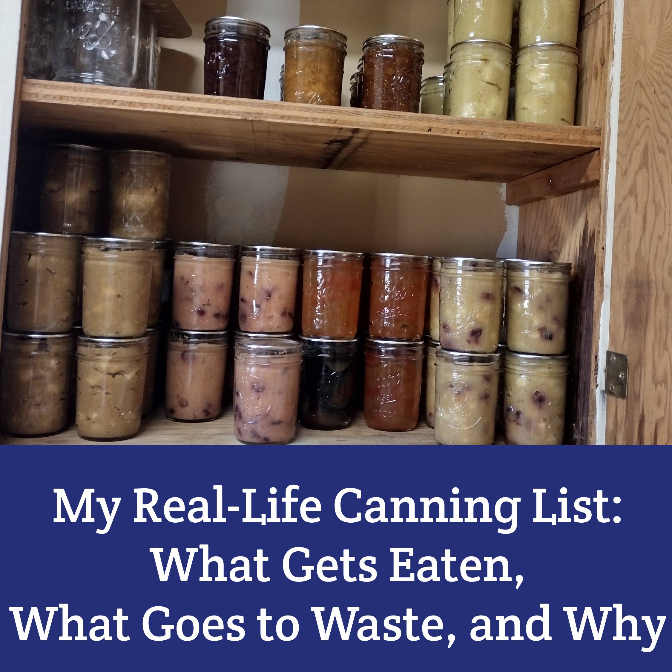 My Real-Life Preserving List: What I Can, What I Freeze, and What I Pass On - Moon & Hare Studio