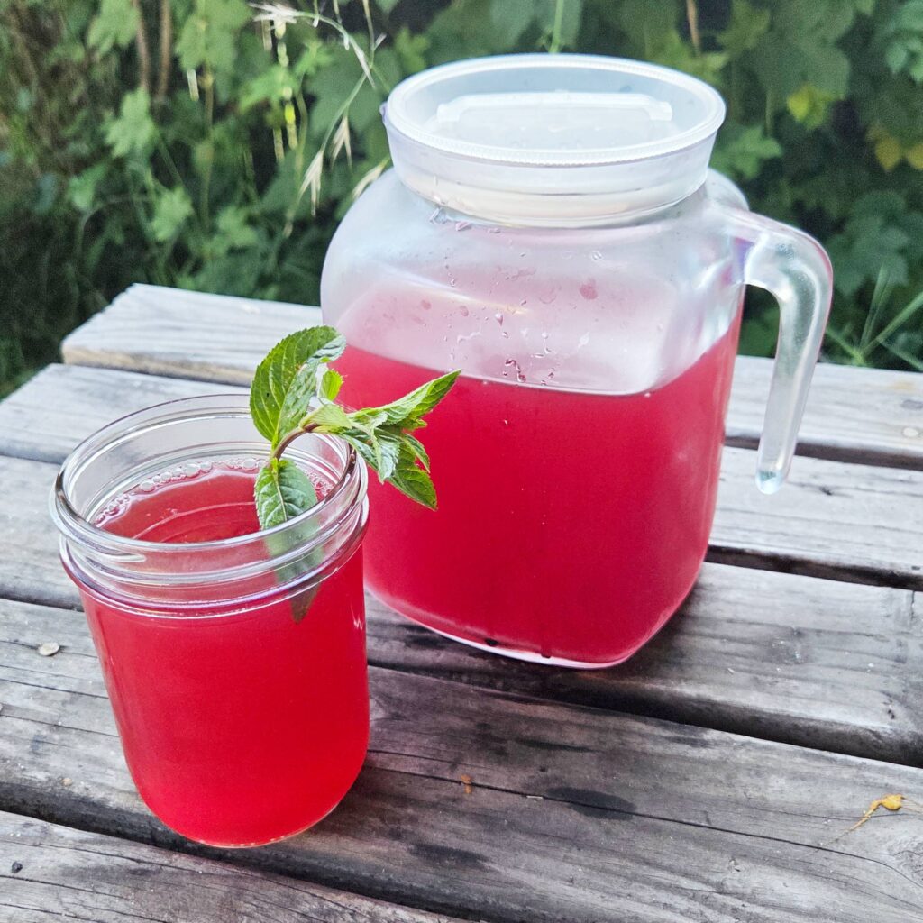 Refreshing ginger hibiscus iced tea recipe from Moon & Hare Studio
