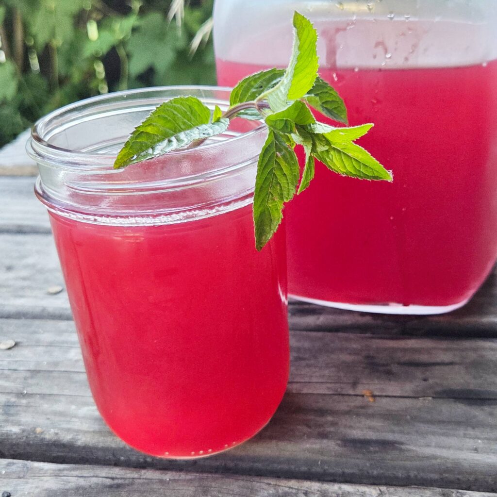 Refreshing ginger hibiscus iced tea recipe from Moon & Hare Studio