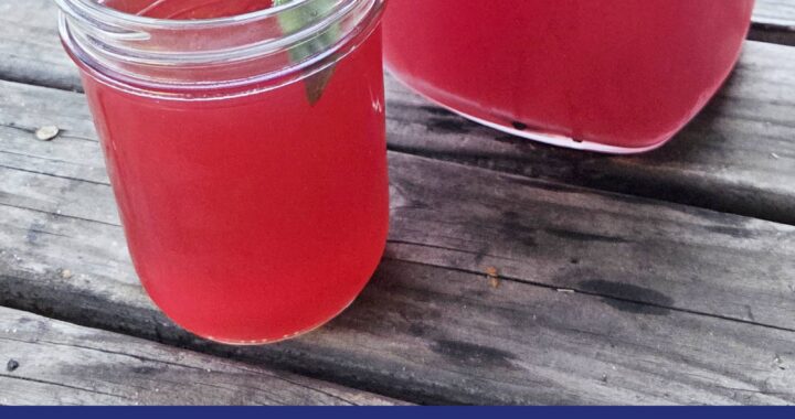 Refreshing ginger hibiscus iced tea recipe from Moon & Hare Studio