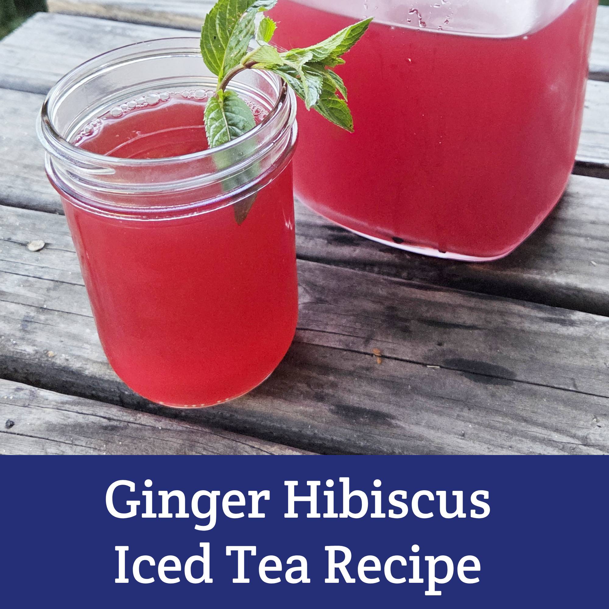 Refreshing ginger hibiscus iced tea recipe from Moon & Hare Studio