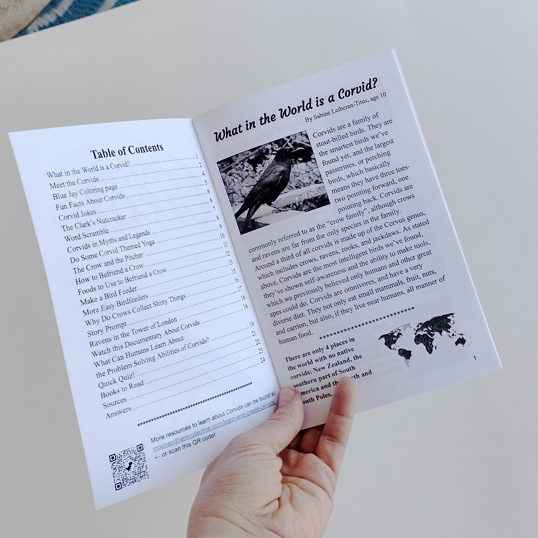 All About Corvids - kid zine - Image 4