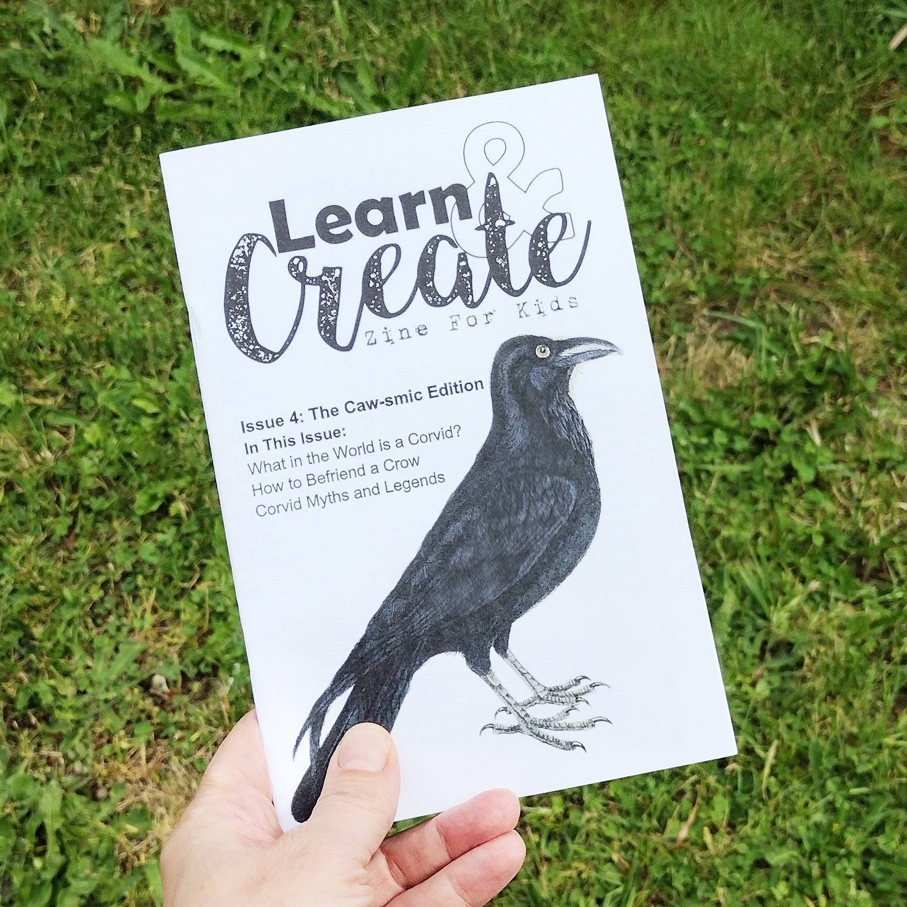 All About Corvids - kid zine