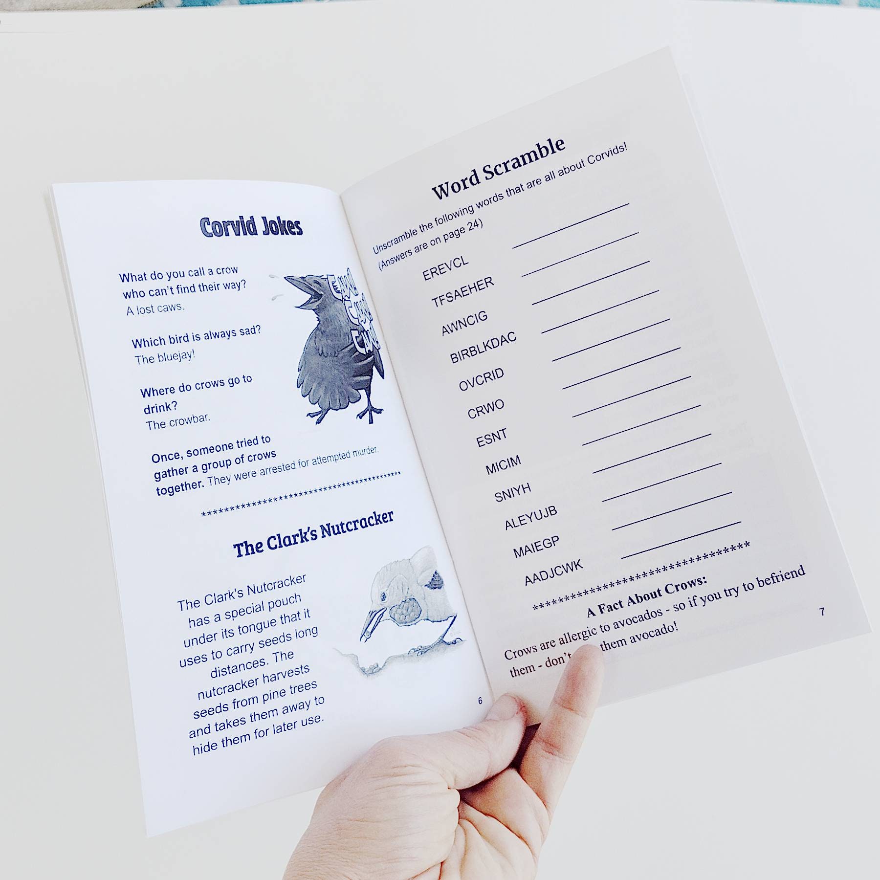 All About Corvids - kid zine - Image 2