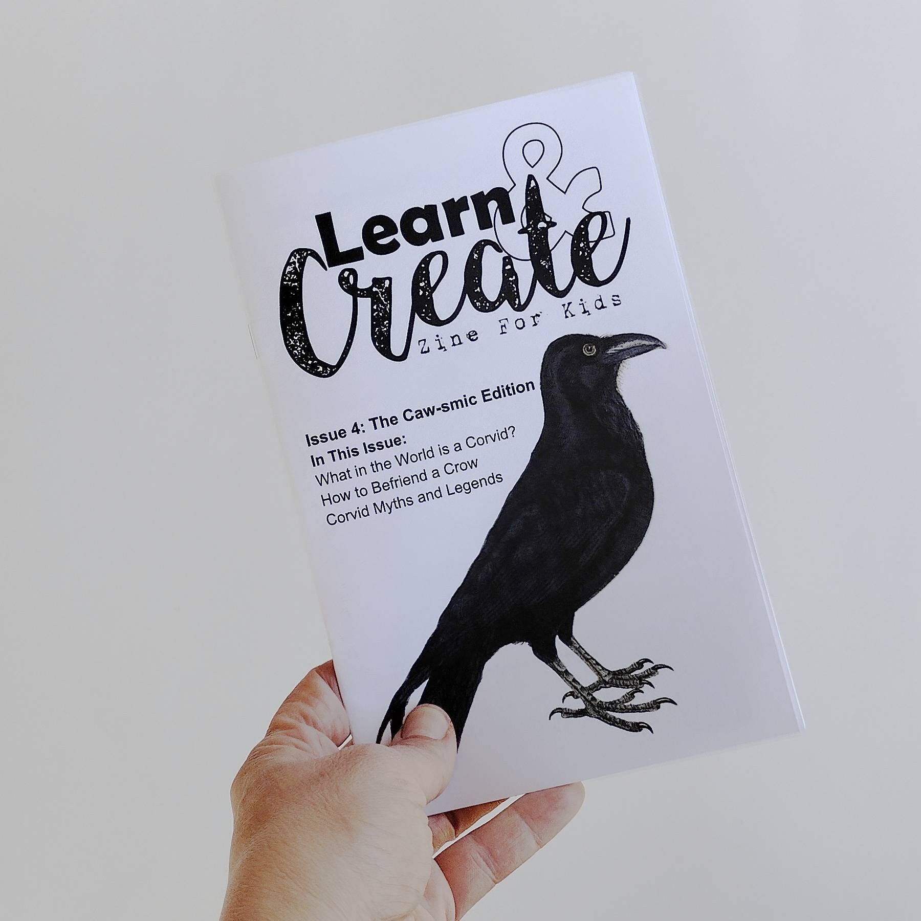 All About Corvids - kid zine - Image 3