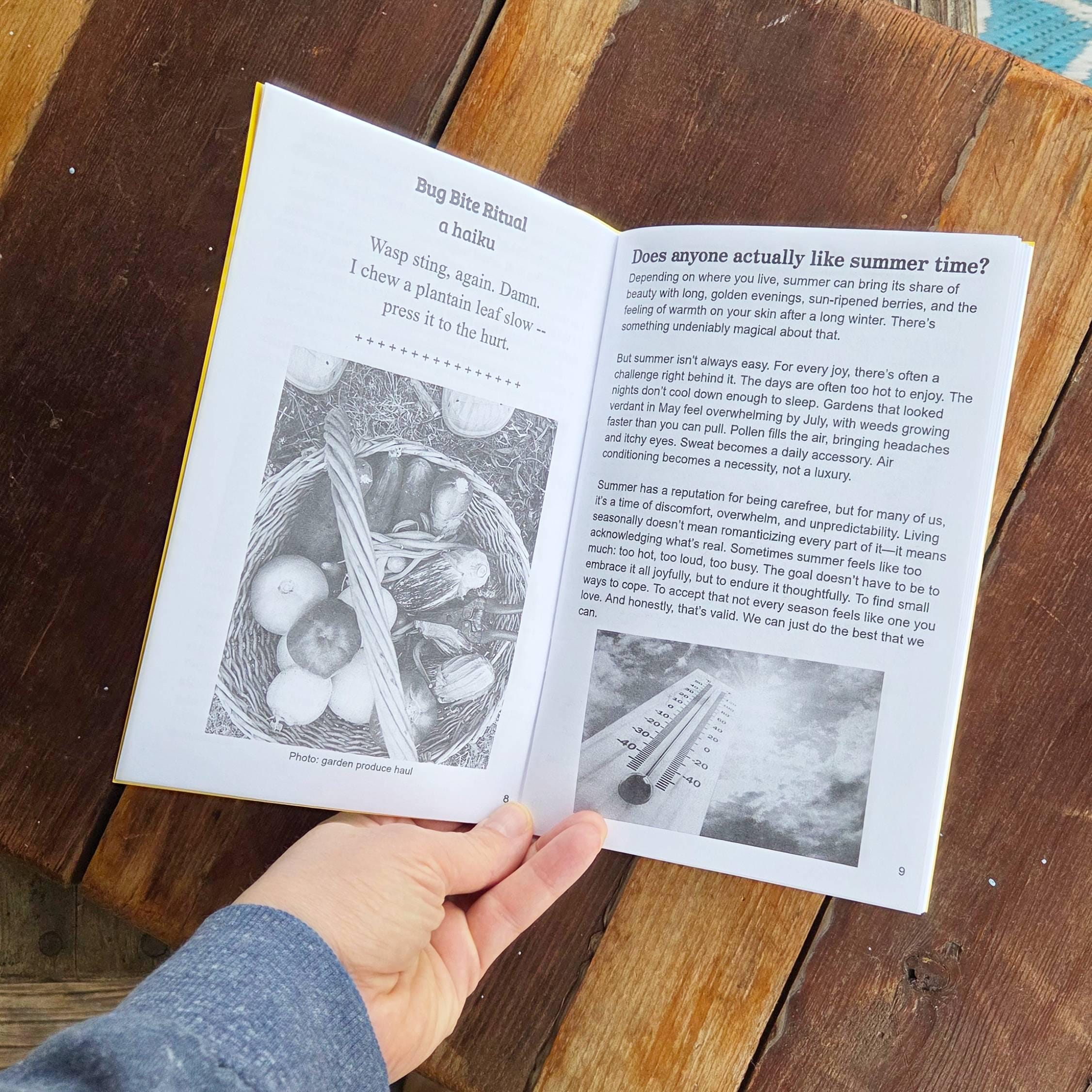 Rhythms of the Year: Summer - zine - Image 3