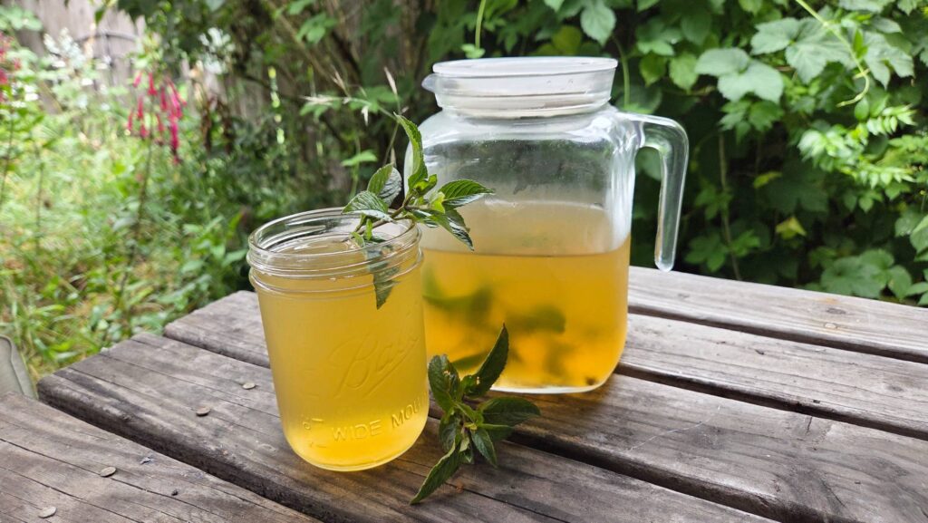 Chocolate Green Iced Tea Recipe - from Moon & Hare Studio!