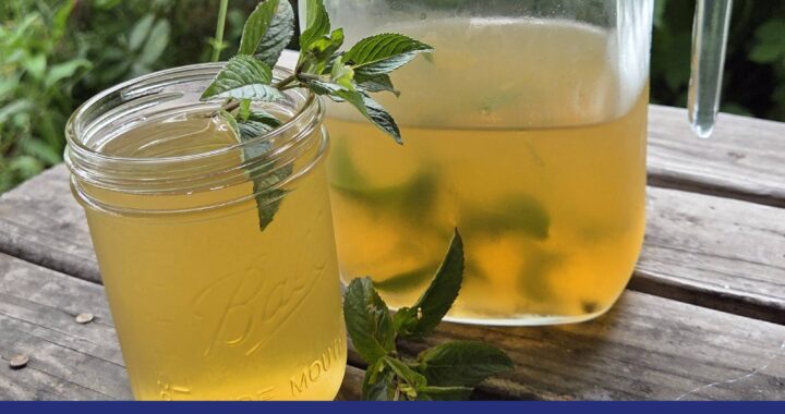 Chocolate Green Iced Tea Recipe - from Moon & Hare Studio!